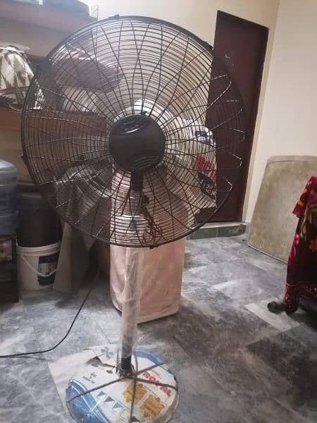 New Condition Royal Fan 1