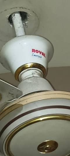 beautiful design Royal fan pure copper