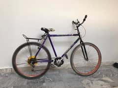 Phoenix Bicycle For Sale! Very reasonable price. Urgent!