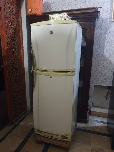 Pel fridge for sale 1