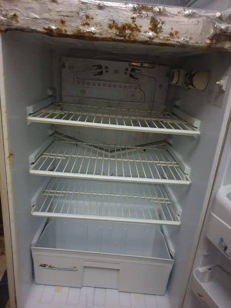 Pel fridge for sale 4