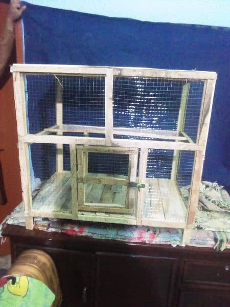 hen's cage and Bird cage 1