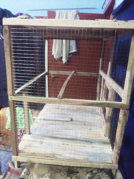 hen's cage and Bird cage 6