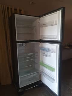 fridge/refrigerator