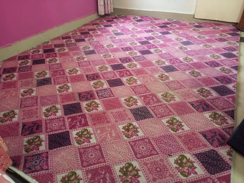 Room Carpet 0