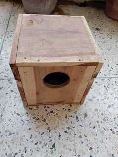 new kekar lovebirds box for sell.