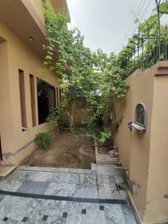 10 Marla Single storey is for rent in Wapda Town Lahore phase 2 block N1. 0