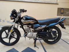 Yamaha ybz dx 2021 model 0
