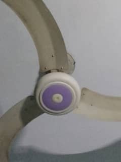 AC sealing fan for sale