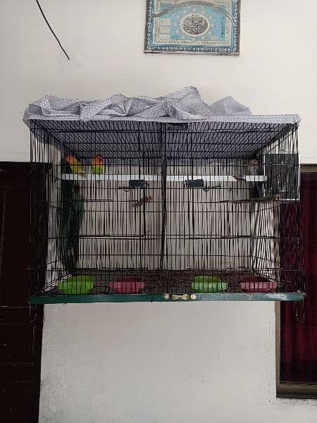 parrot cage 1