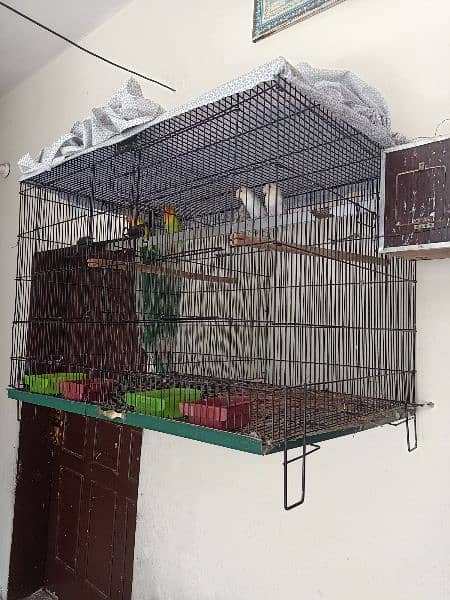 parrot cage 2