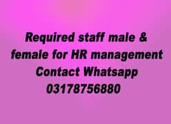 Required staff male & female for HR managemant