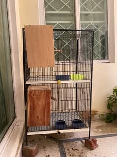 cage for sale for love birds and cocktail