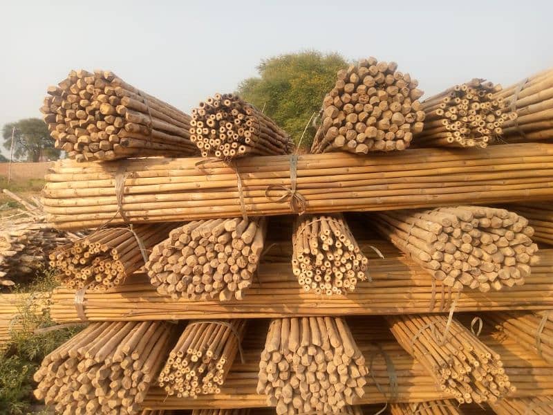 Bamboo suppliers 6
