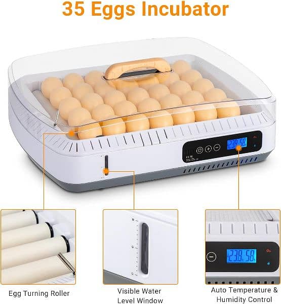 incubator 30 eggs 1