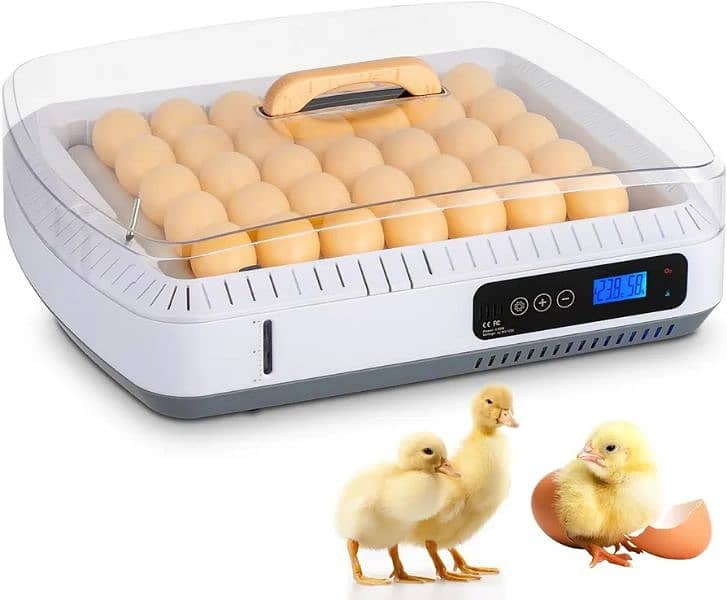 incubator 30 eggs 5