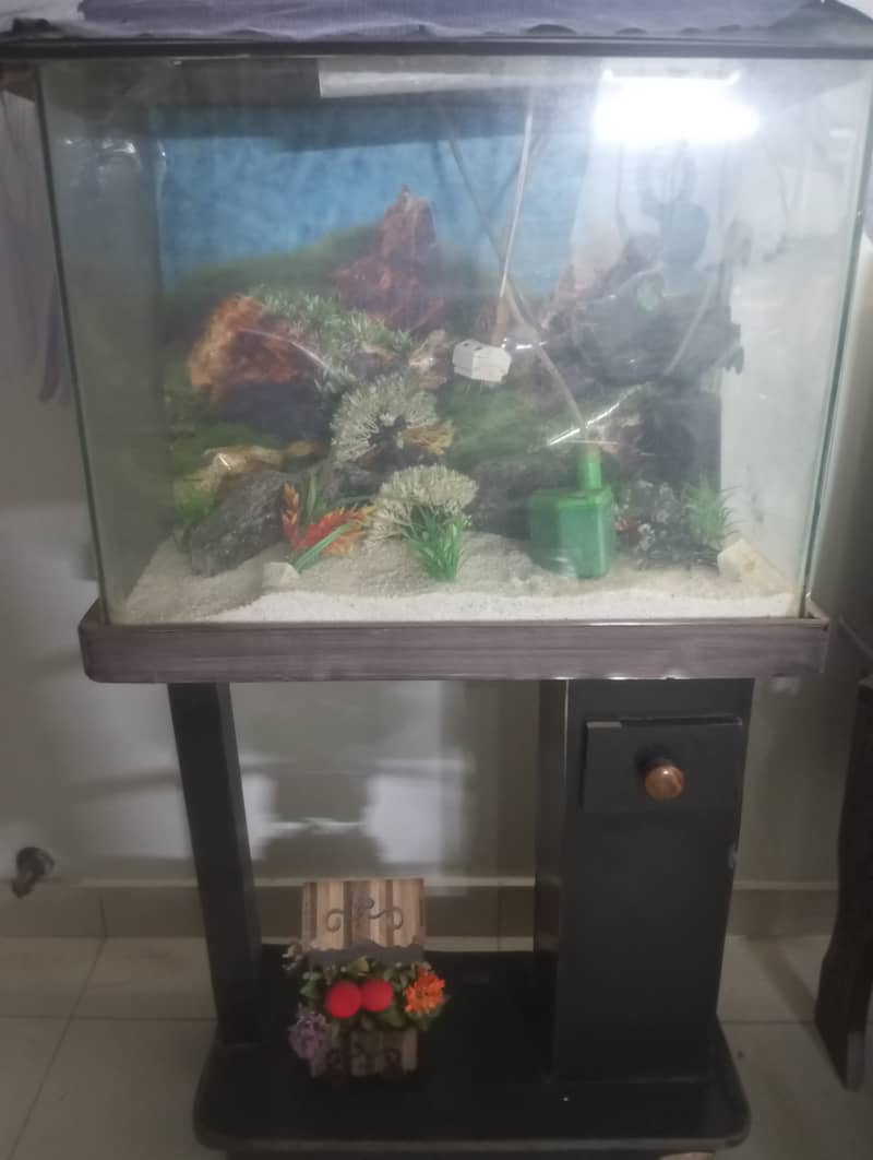 Aquarium with All Accessories For Sale 1
