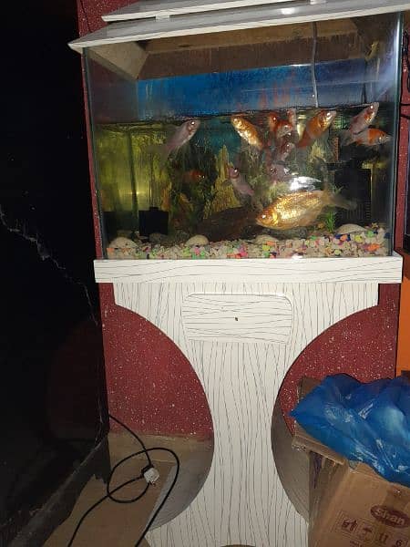 Aquarium with Fishes 2