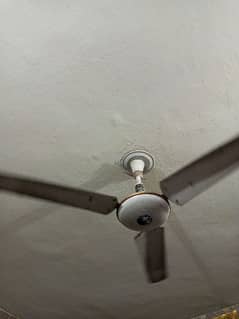 ceiling fans for sale