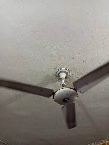 ceiling fans for sale 0