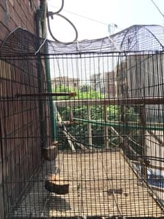 cage/pinjra for birds