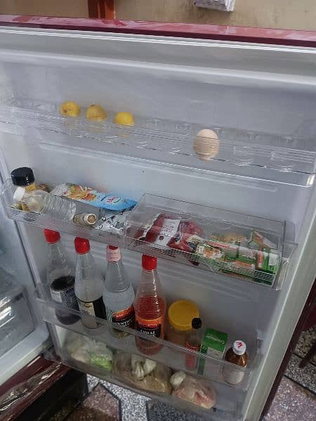 knewood Refrigerator 4