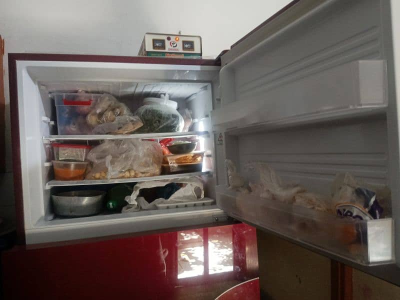 knewood Refrigerator 7