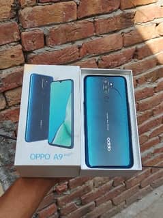 Oppo A9 2020 8GB 128GB(Exchange possible)