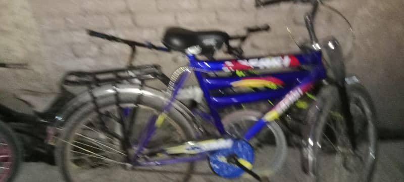 Safari bicycle 1