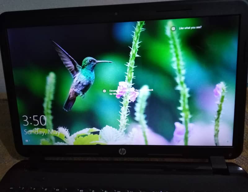 HP laptop windows 10 pro 10