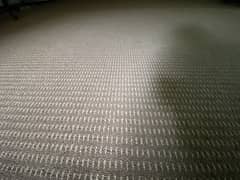 Carpet available for sale size 14 x 16 ft