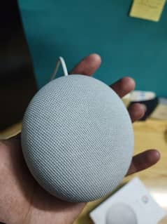 Google nest mini