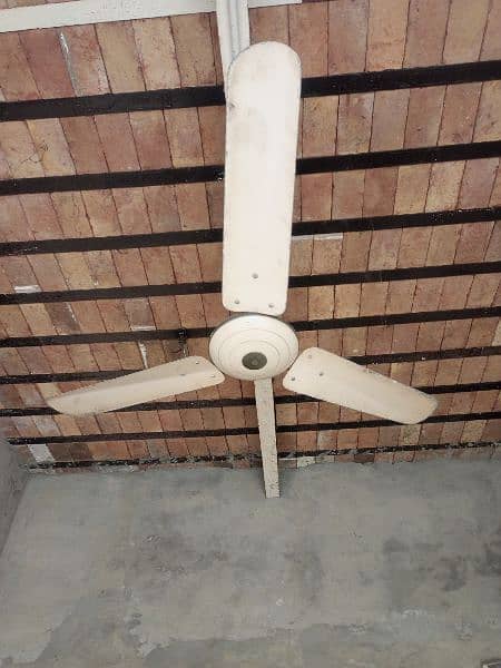 Two ceiling fans 1