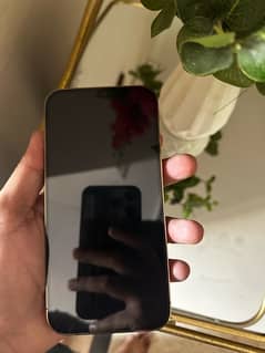 Iphone 12 Pro max dual physical pta approved 128 GB