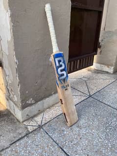 BS 919 hard ball bat