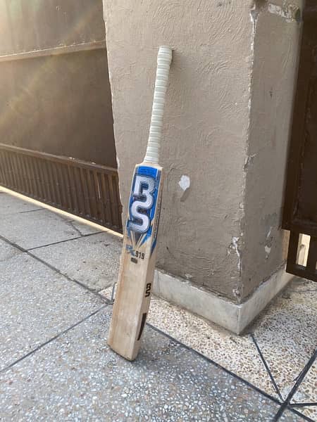 BS 919 hard ball bat 1