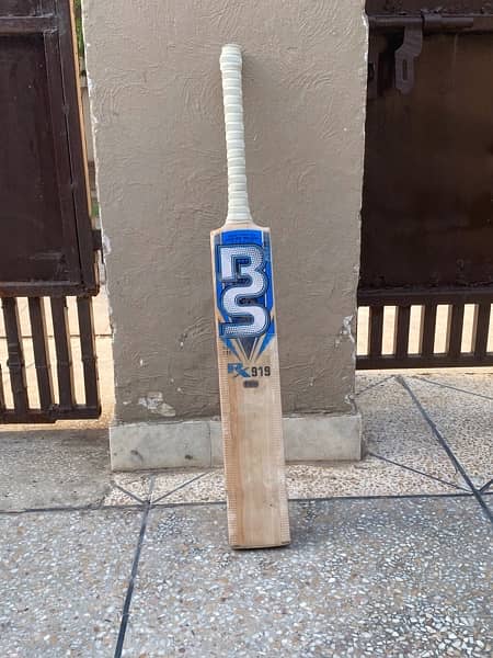 BS 919 hard ball bat 2