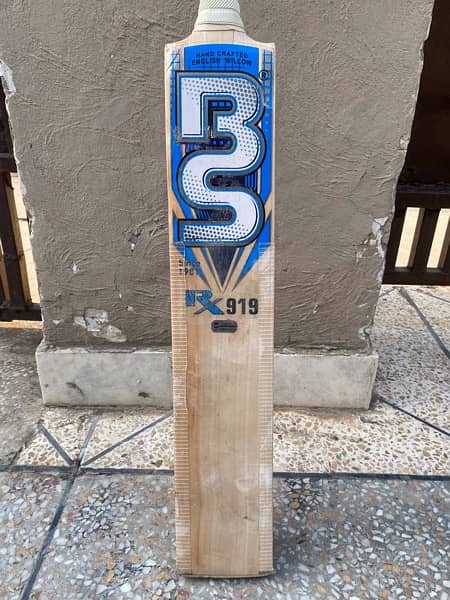 BS 919 hard ball bat 3