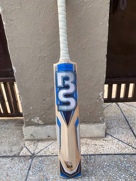 BS 919 hard ball bat 5