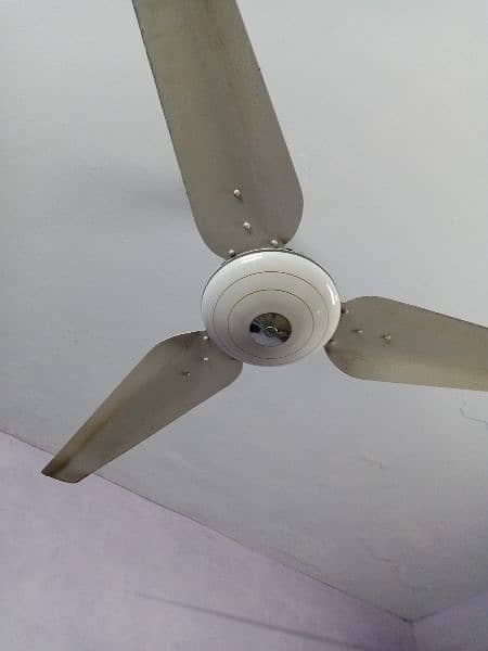 2 fans available for sale DM and 3500 for eacg 3
