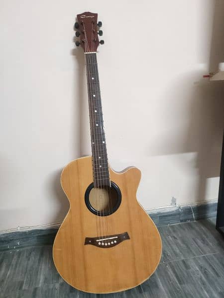 Jumbo Guitar for sale with cappo 8