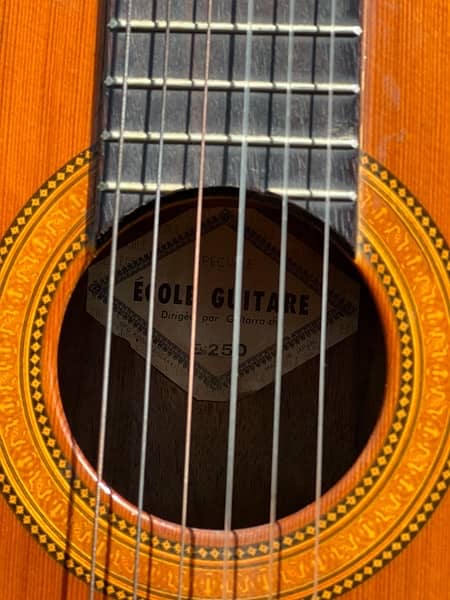 Spanish Guitar Ecole L250 4