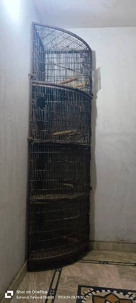 Corner Cage for parrots 0