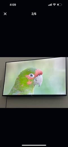 43 inches tcl 4k uhd