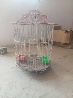 raw parrot used cage