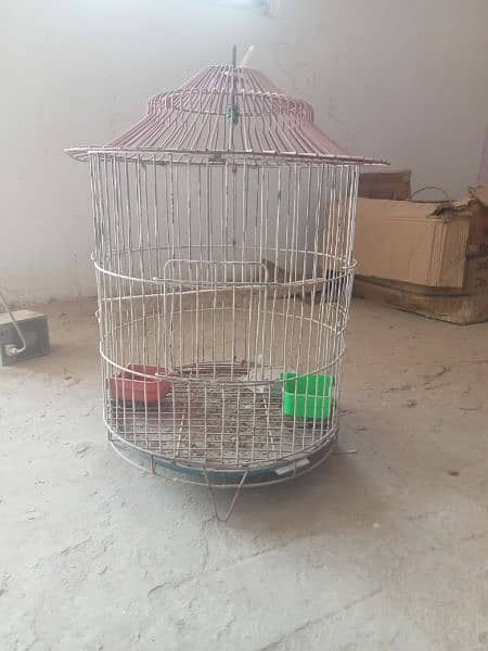 raw parrot used cage 0