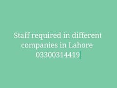 staff required in different companies/factories/restaurants.