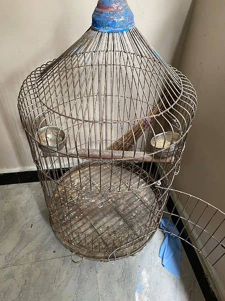 raw parrot cage 2