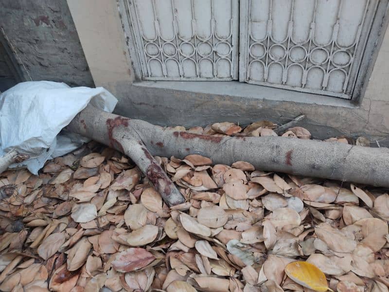 Urgent Sale Bore Tree 5 man Weight For Rs 15000 1