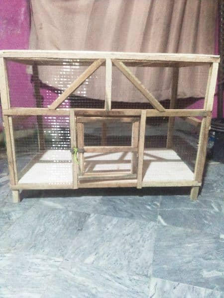 New bird cage 1